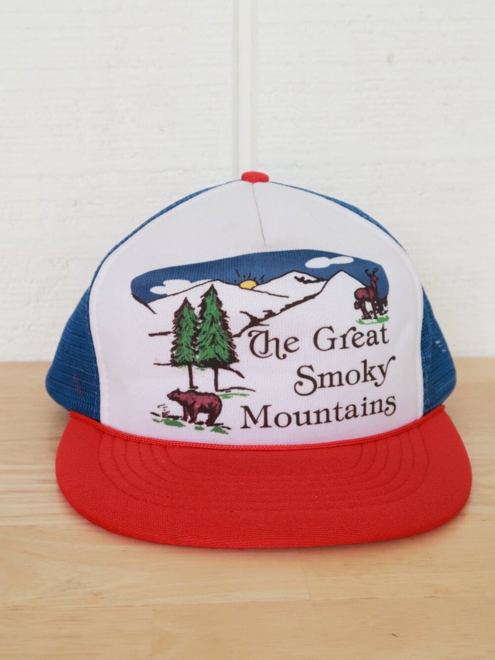 Vintage The Great Smoky Mountains Snapback Hat